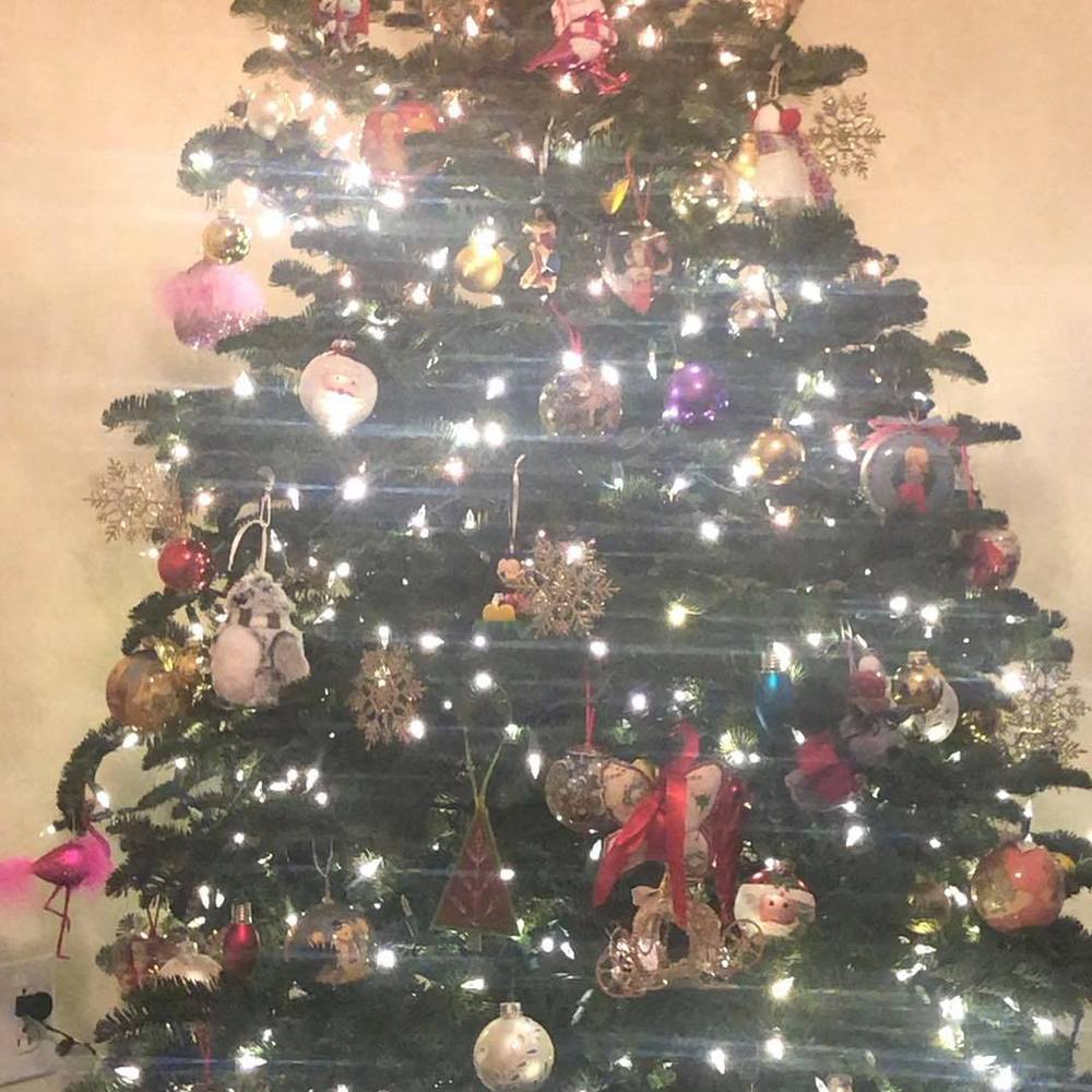 Meet your Posher, Maria